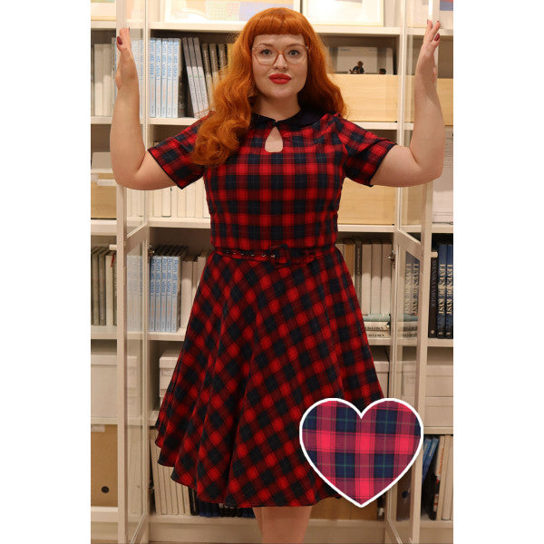 Evelyn Classic Pinup Check Swing Dress in Red Checks